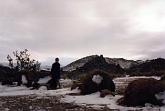 1997 - USA 04 (Joshua Tree National Park, CA)
